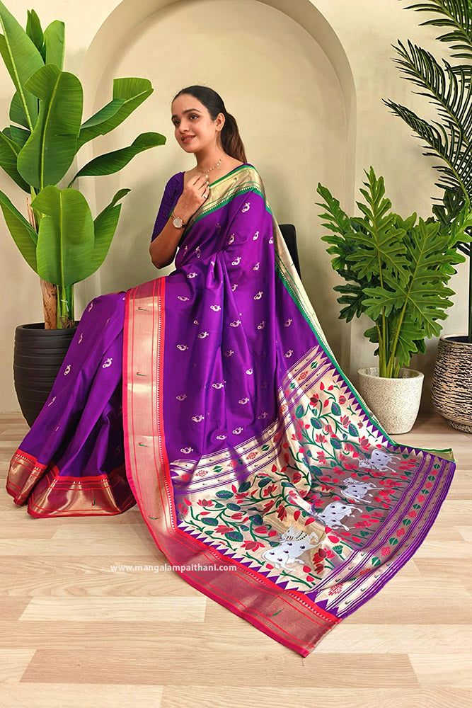 Dual Color Border Nath Paithani