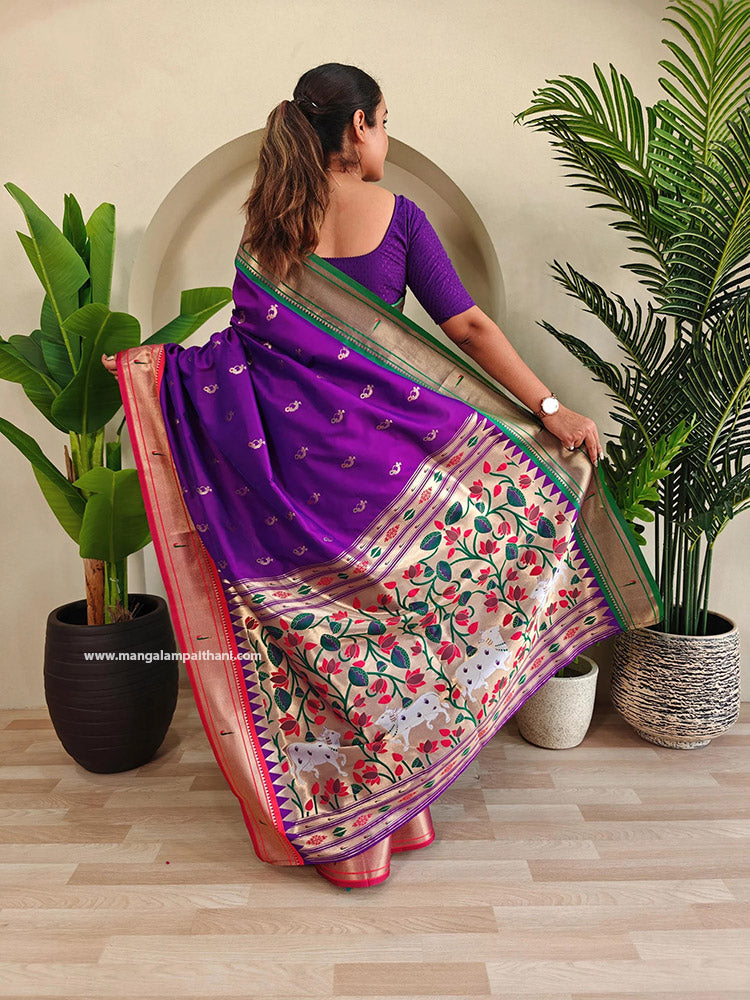 Dual Color Border Nath Paithani