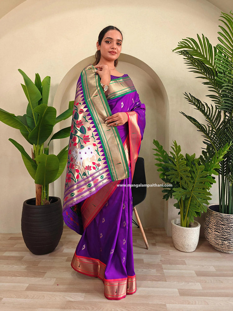 Dual Color Border Nath Paithani