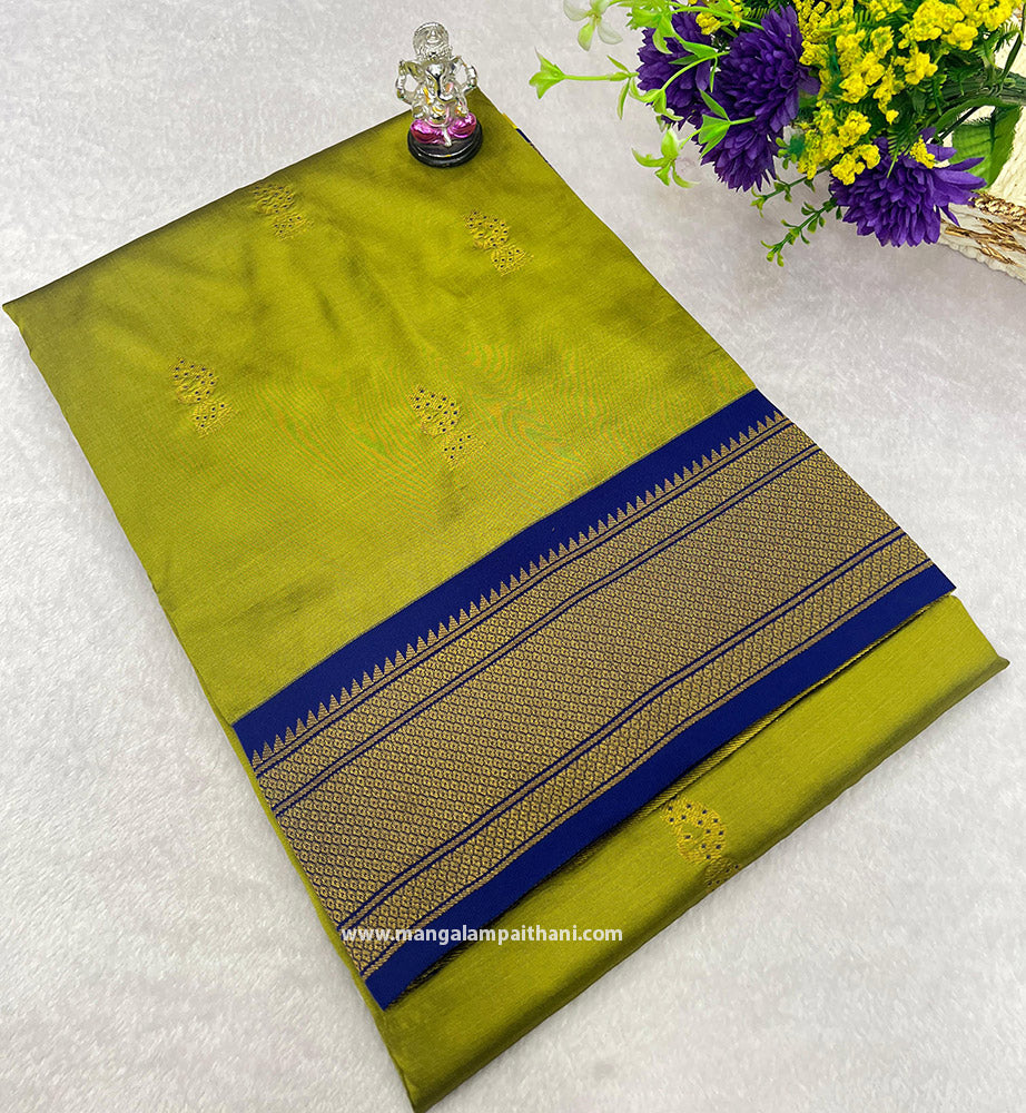 A traditional Paithani saree