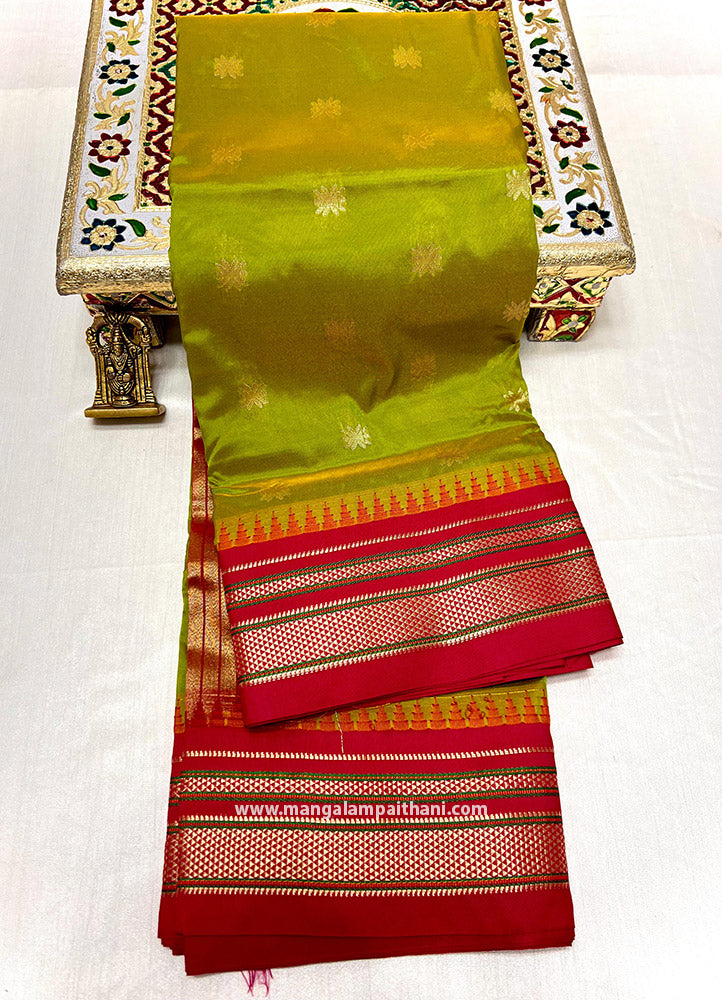 golden paithani saree