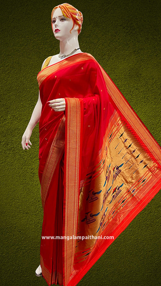 traditional saree