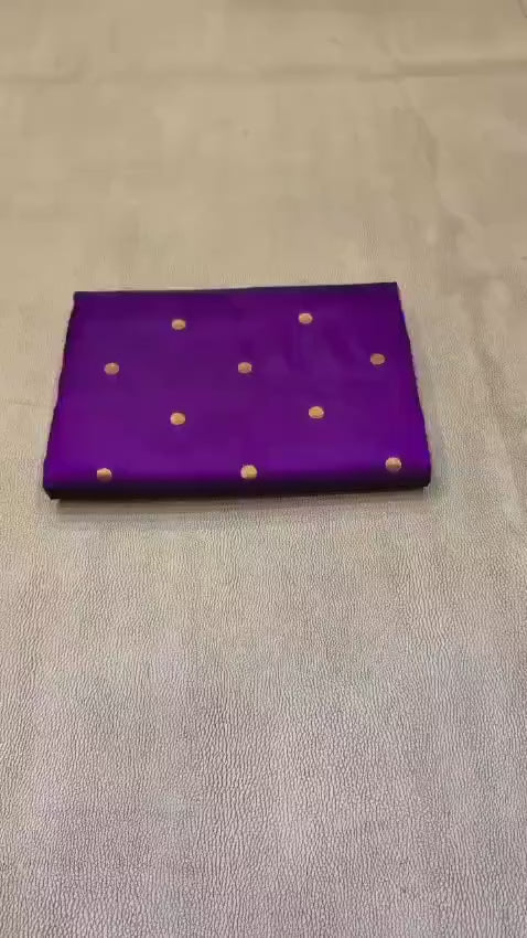 Paithani Silk Saree with Peacock Border #02