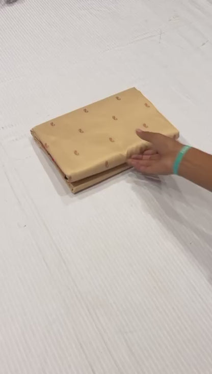 Peacock Brocade Paithani #02