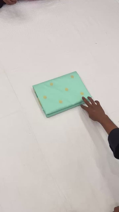 Semi Silk Brocade Paithani #03